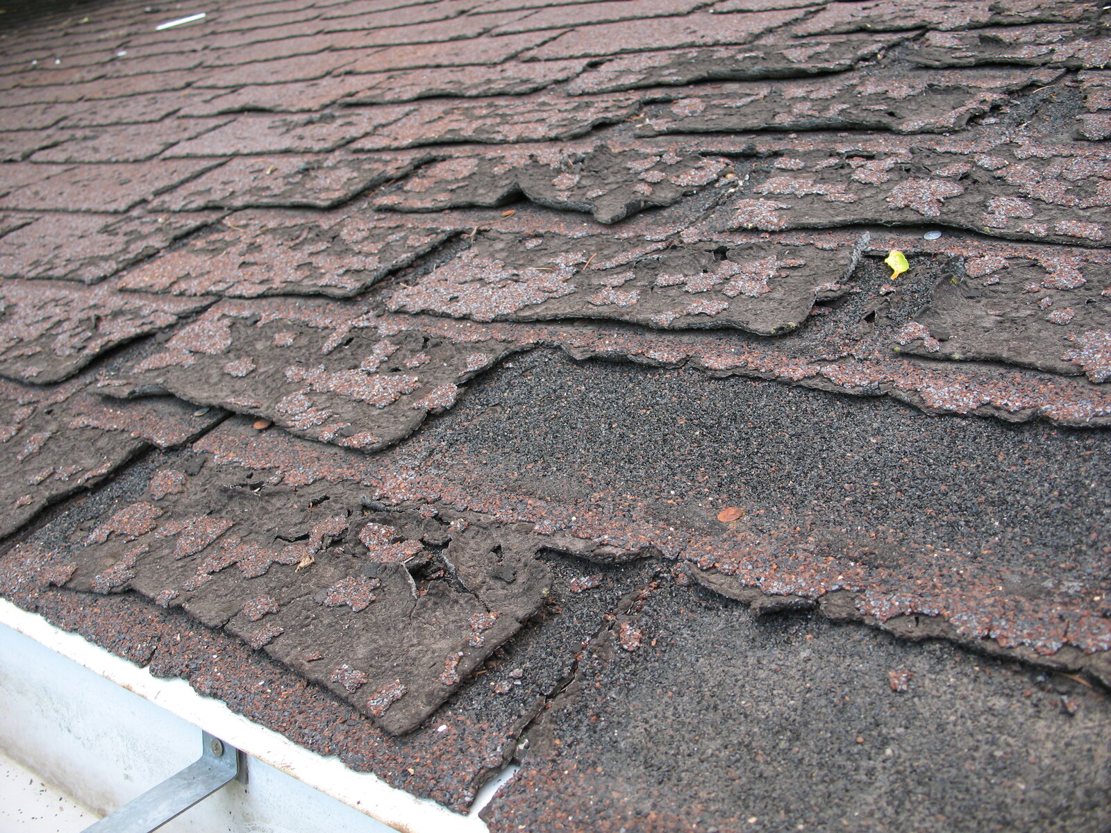 Close-up of severely cracked and curling asphalt shingles showing the kind of wear an inspector checks for