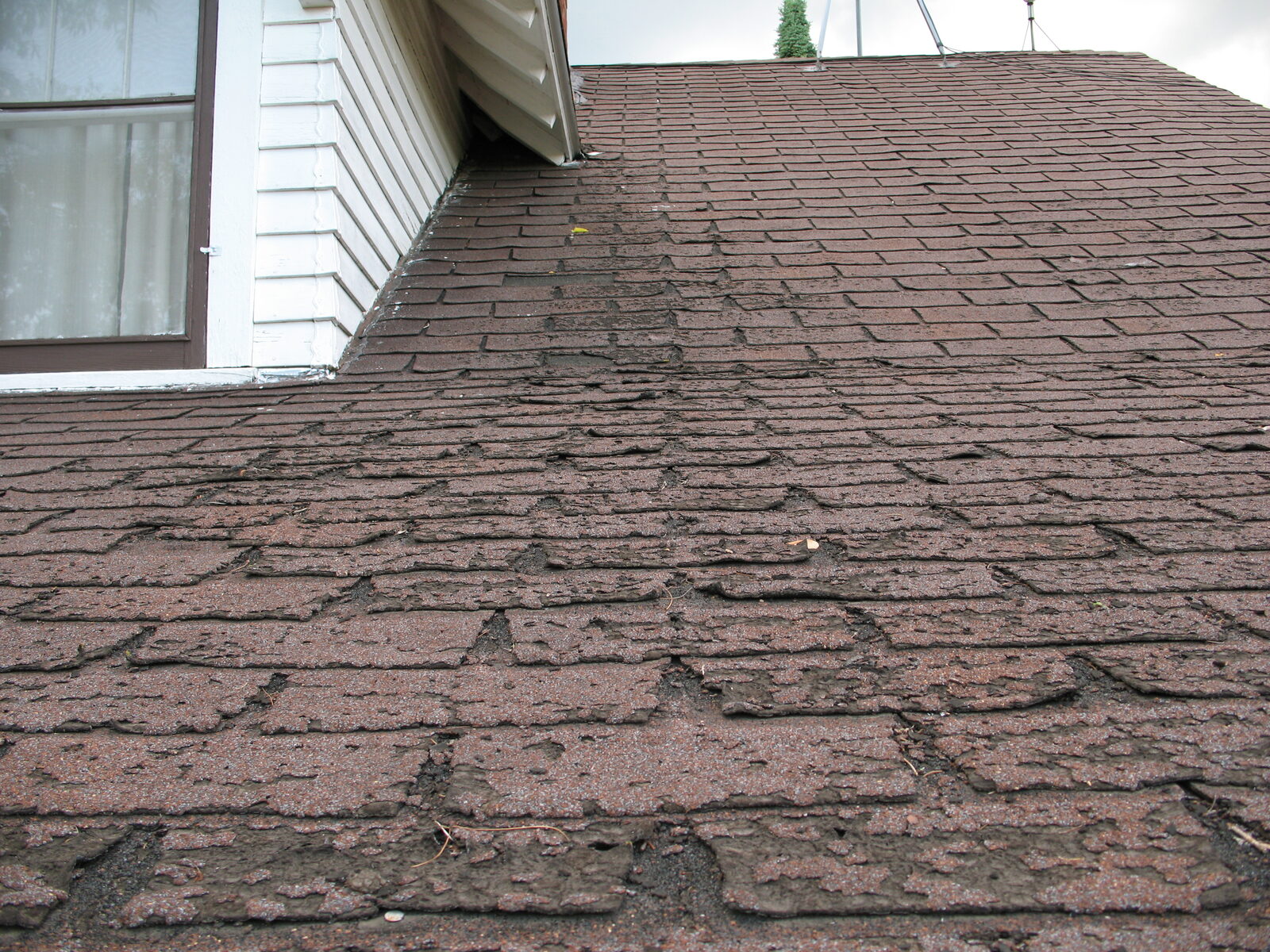 Close-up of a worn asphalt shingle roof showing curling and cracking near the eaves