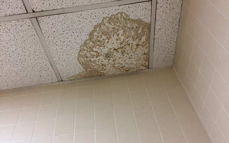 Water stain spreading across a ceiling from a roof leak